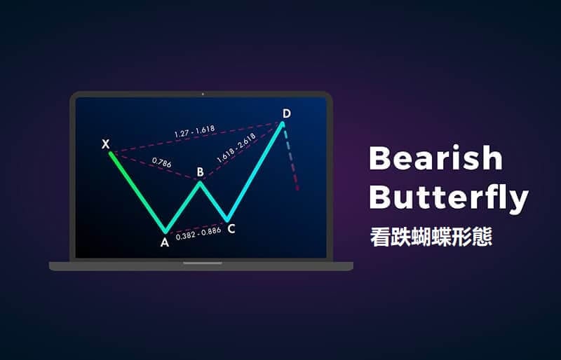 掌握看跌蝴蝶形態的技術指標,辨識價格反轉向下的時機 - AvaTrade