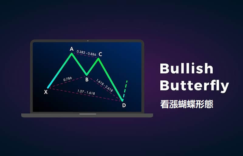 看漲蝴蝶形態教學,捕捉市場反彈契機的關鍵圖形之一 - AvaTrade