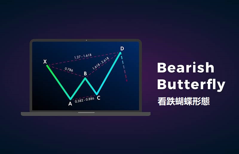掌握看跌蝴蝶形態的技術指標,辨識價格反轉向下的時機 - AvaTrade