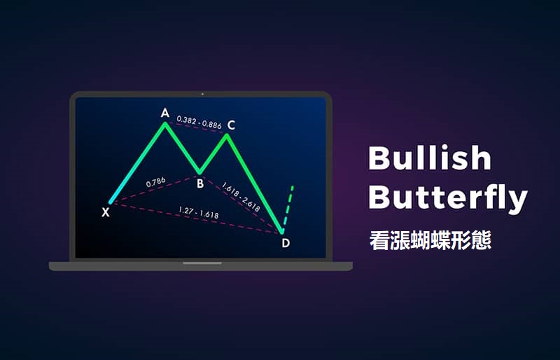 看漲蝴蝶形態教學,捕捉市場反彈契機的關鍵圖形之一 - AvaTrade